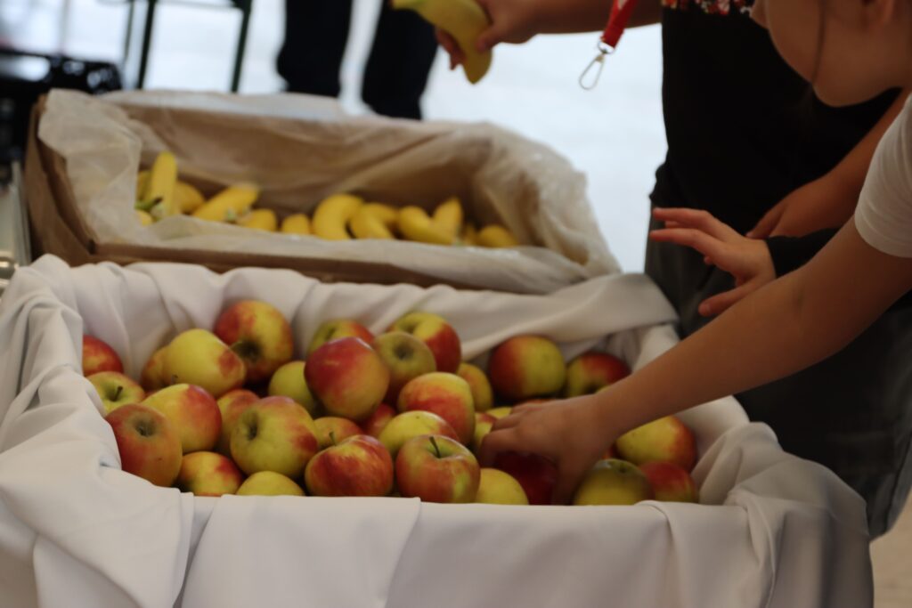 Kinderhände greifen in einen Korb Äpfel